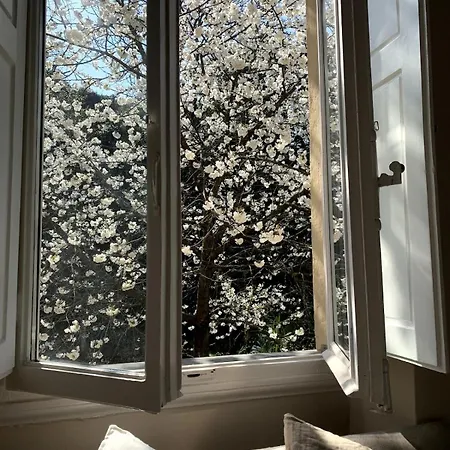 Surrounded By Greenery In The Heart Of Apartament Florencja